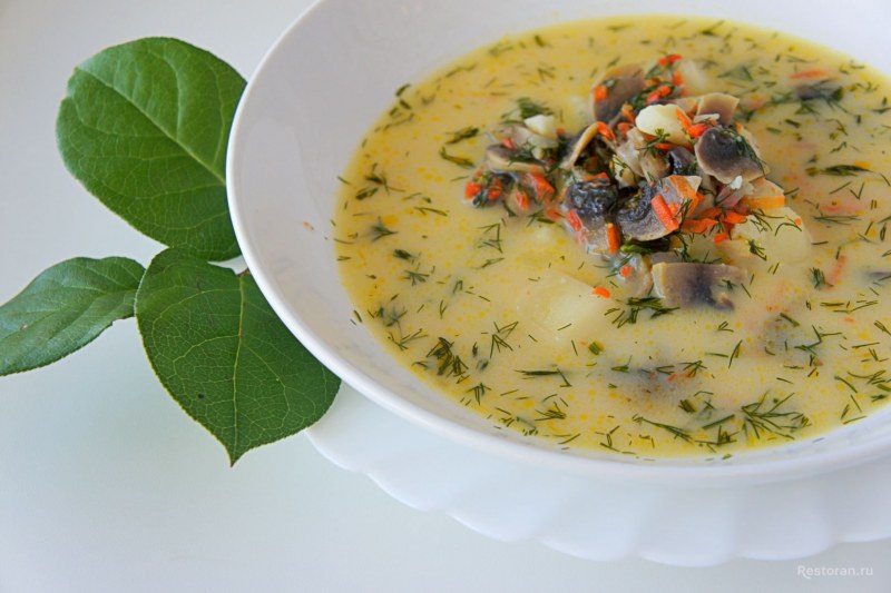 Суп с плавленным сыром и курицей и грибами