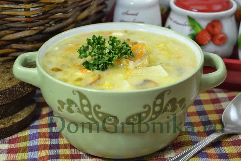 Картофельный суп пюре с грибами