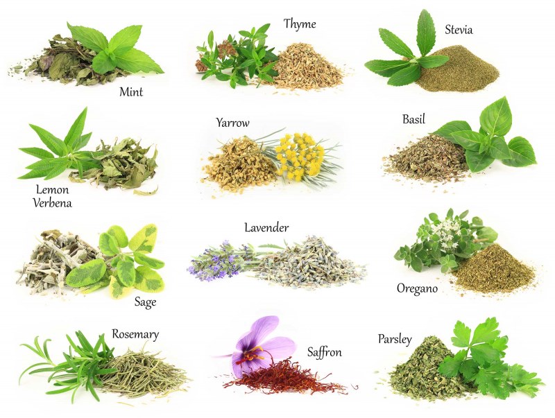 Herb-collections