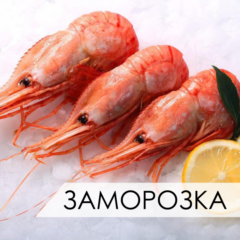 Ассортимент морепродуктов