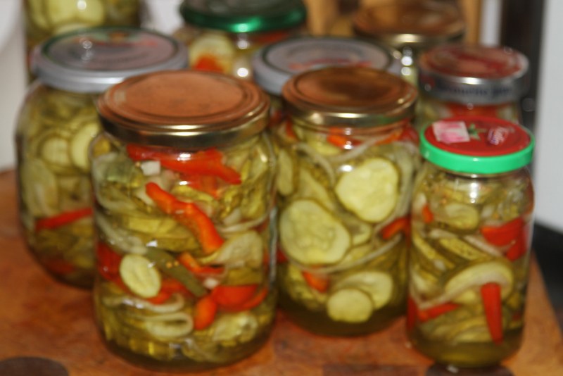 Салат из свежих огурцов