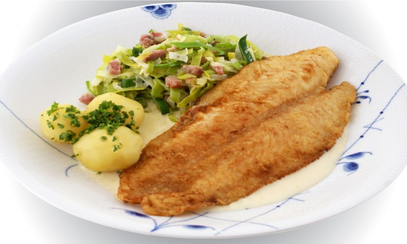 Искусственное мясо рыбы