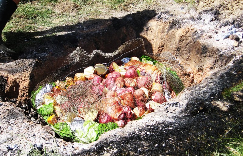 Жареные червяки