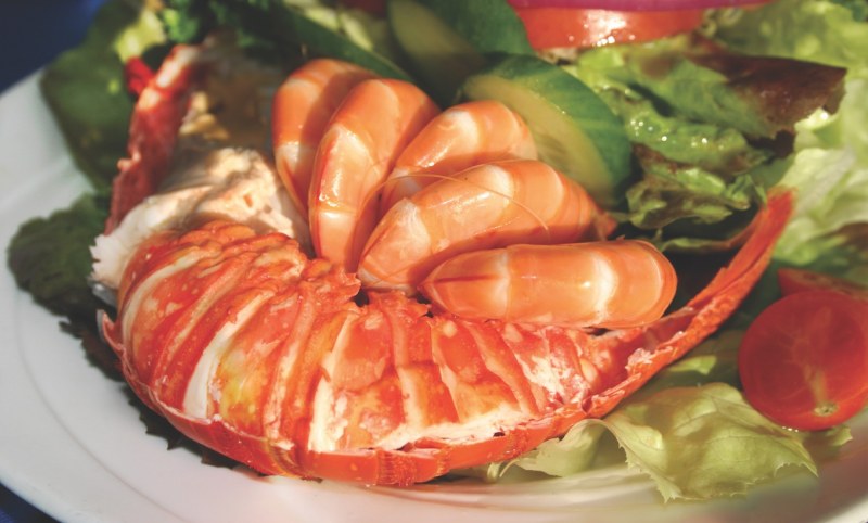 Новая Зеландия продукты