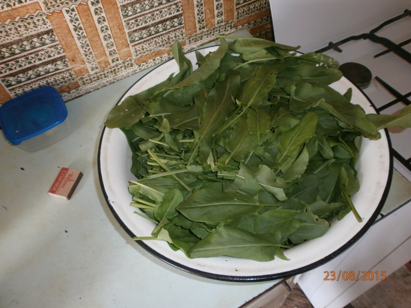 Щавель в банке