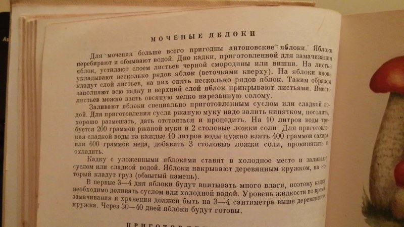 Мочение яблок в банках на зиму