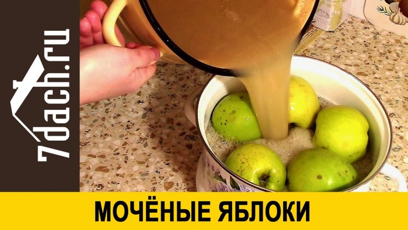 Сорта яблок для мочения