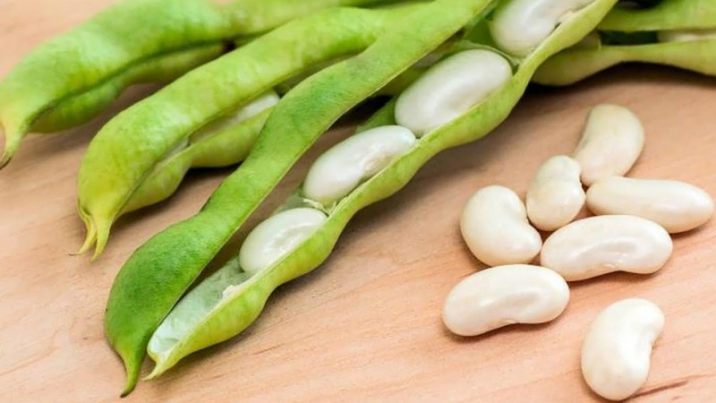 Салат из белой фасоли