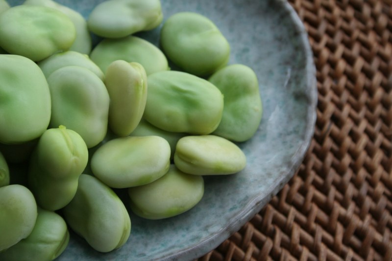 Broad Beans сорт Vicia Faba