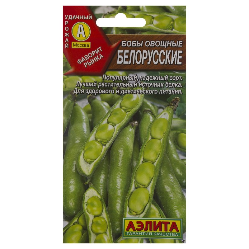 Бобы (Vicia Faba).