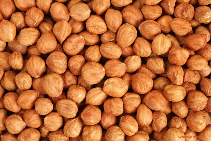 Hickory Nuts