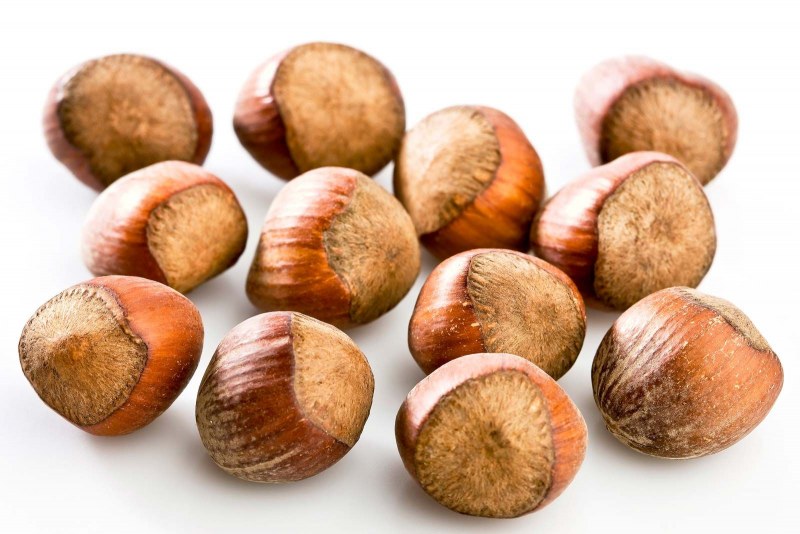 Орех черный, Juglans nigra