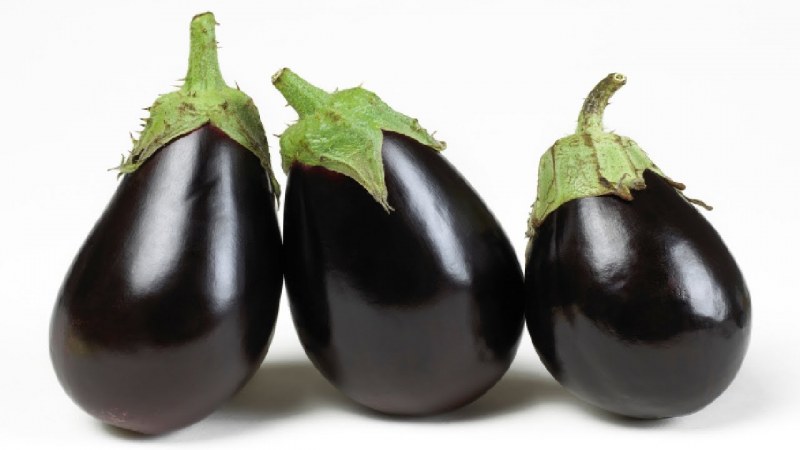 Баклажан mazu Purple