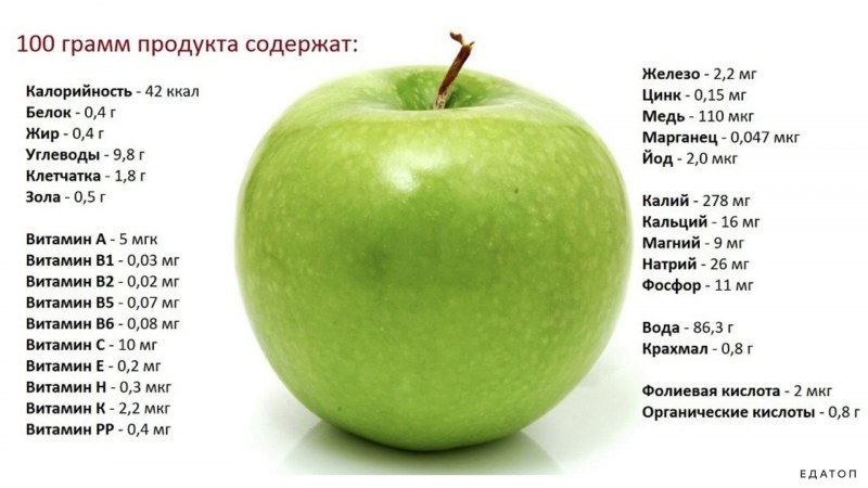 Яблоко Семеренко калорийность