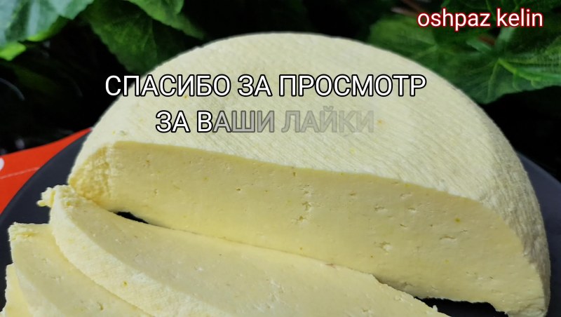 Сыр брынза дар гор