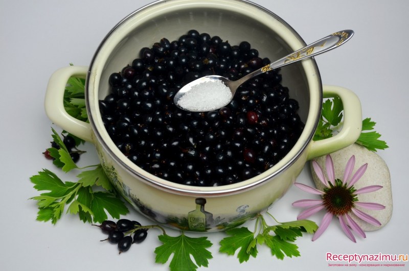 Консервация черной смородины