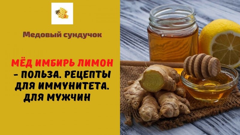 Смесь для напитка волшебное дерево имбирь мед и лимон 35