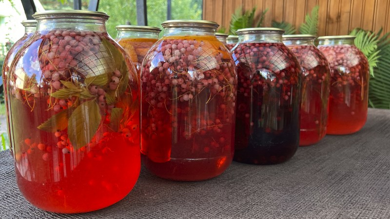Компот черная смородина