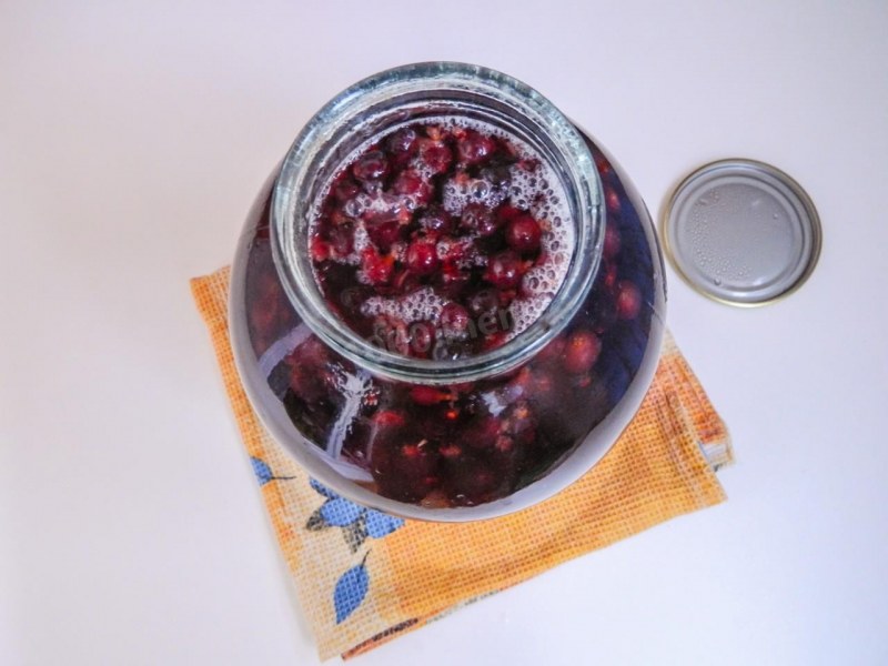 Компот из ШПАНКИ