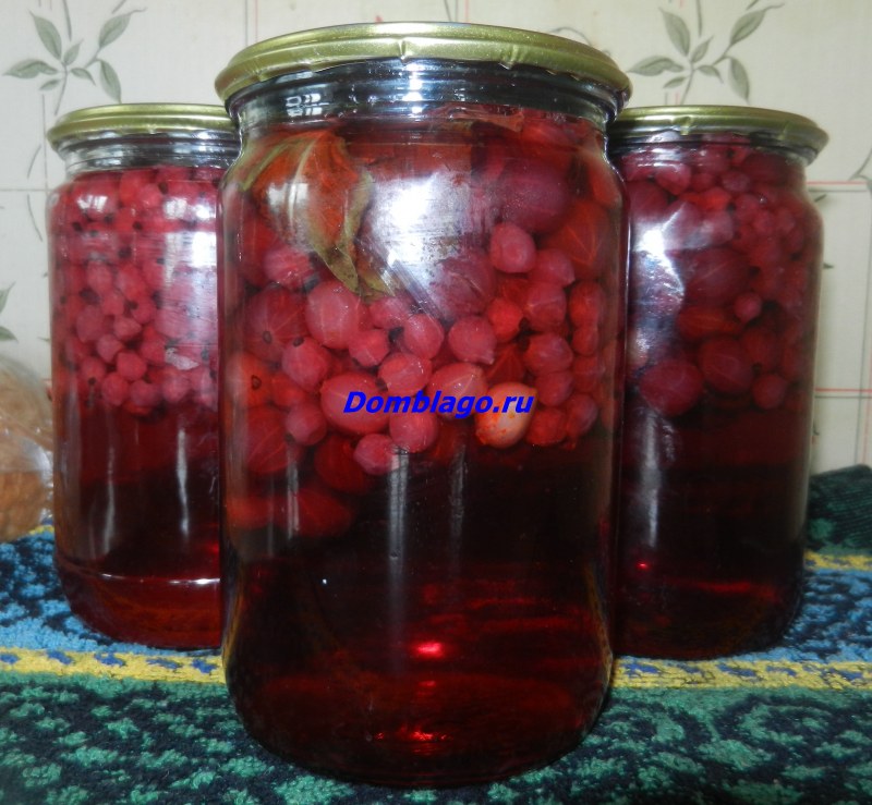 Компот из йошты на зиму