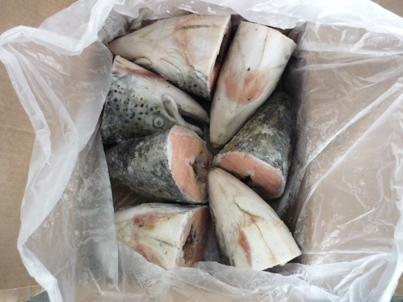 Дикая рыба Ижевск