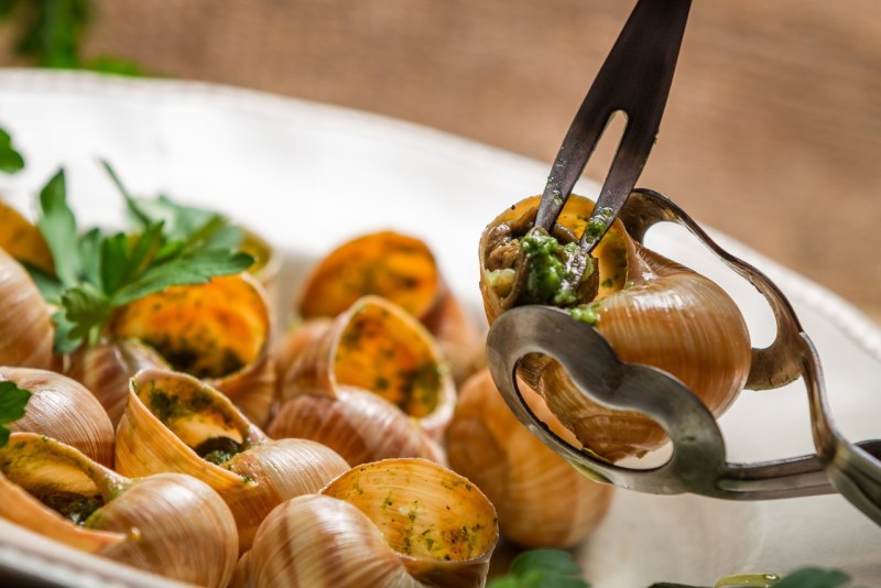 Улитка Виноградная escargots