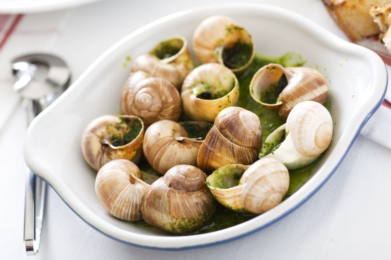 Улитка Виноградная escargots