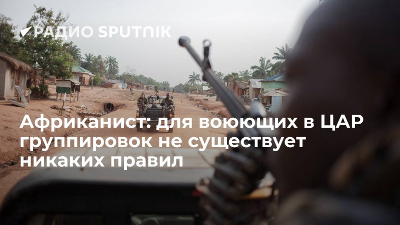 Морские черви на берегу
