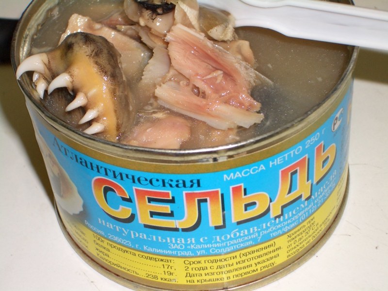 Исландские консервы Сюрстремминг