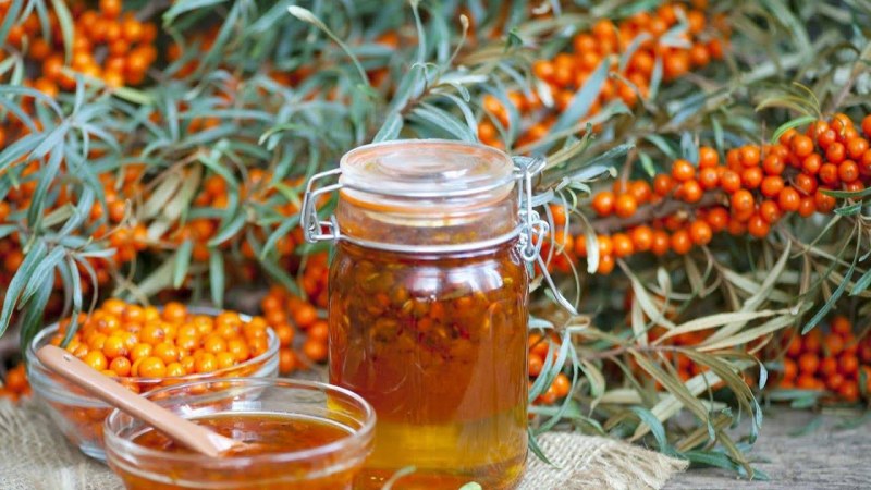 Продукция из облепихи