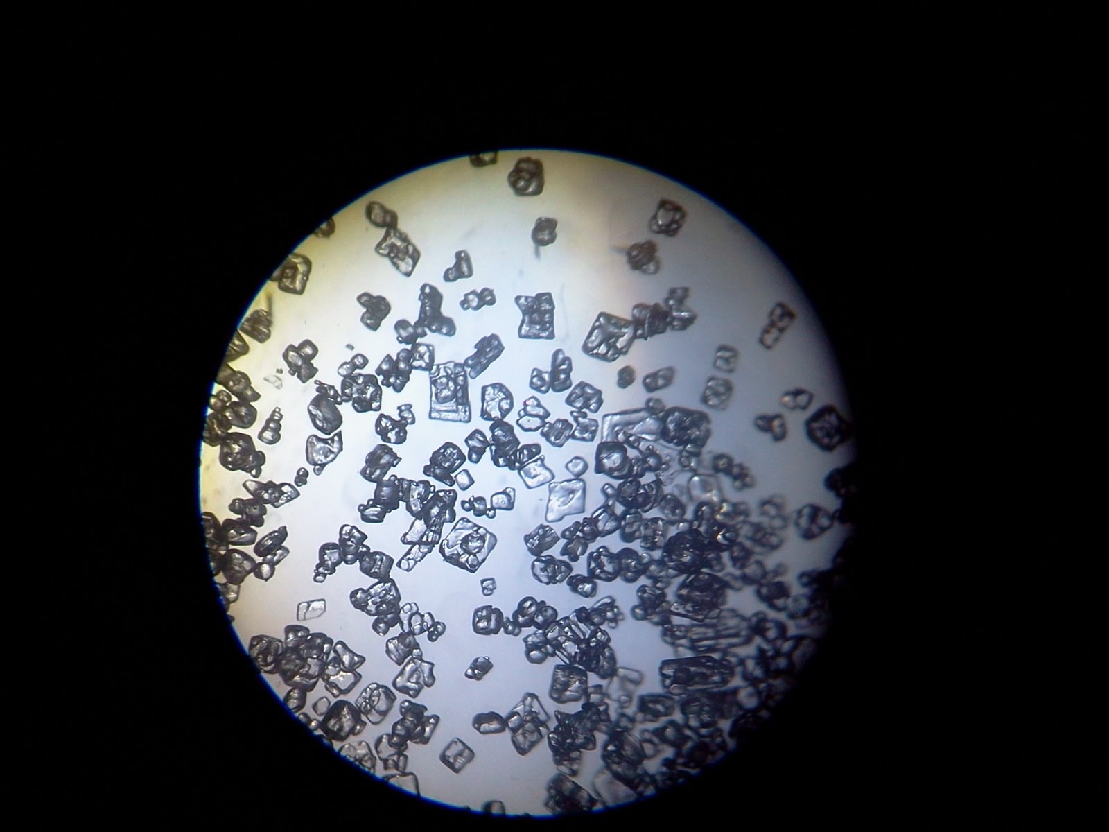 Бактерии в соленой воде. Титан Криос микроскоп. Уран 238 под микроскопом. Плесень микроскопия. Микроскоп Титан снимки.