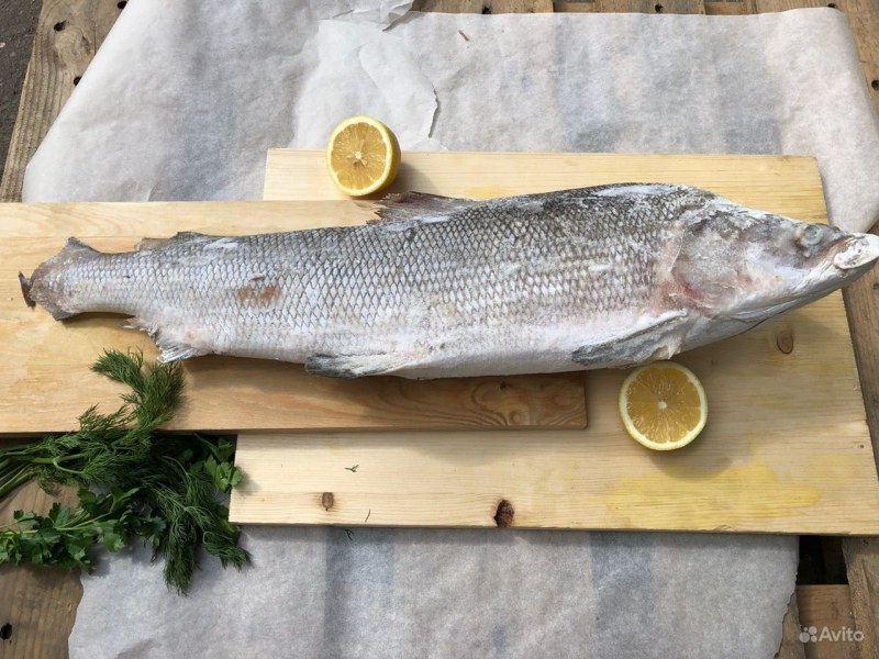 Рыба по карельски