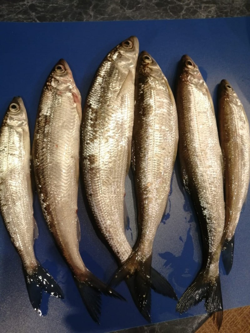 Ряпушка с картошкой