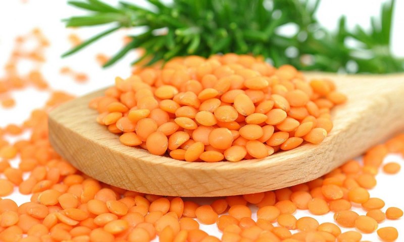 Салат из чечевицы