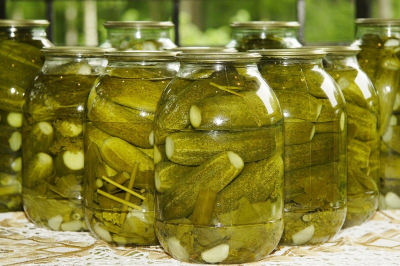 Огурцы для консервирования