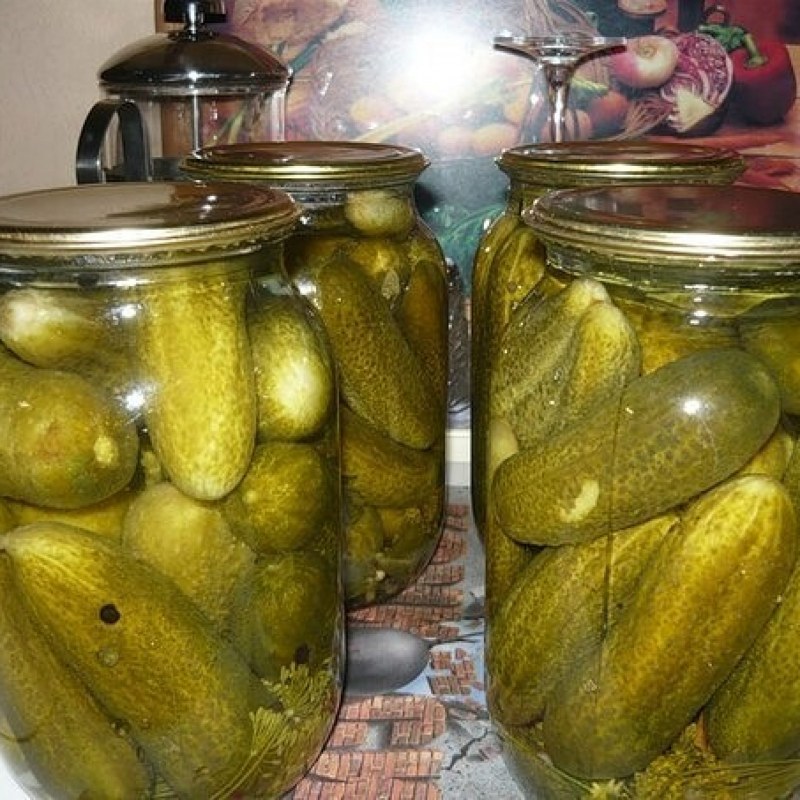 Бодринг ТУЗЛАШ