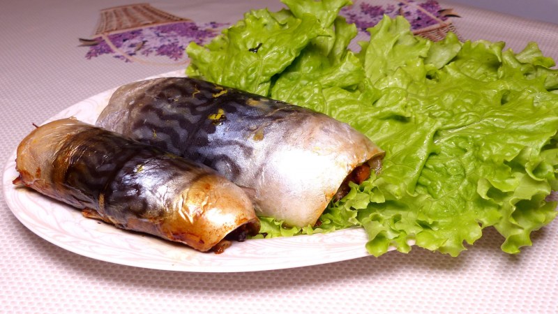 Черепашка скумбрия горбуша