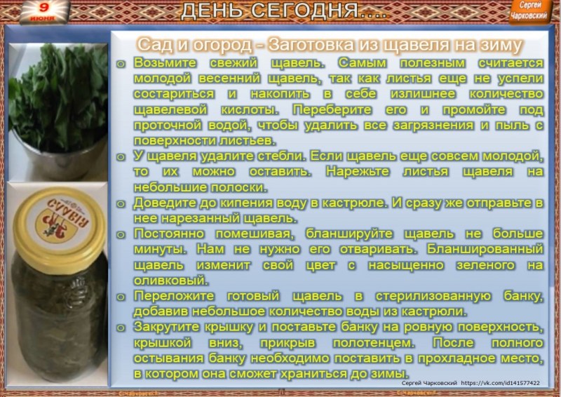 Блюдо на листе черемши