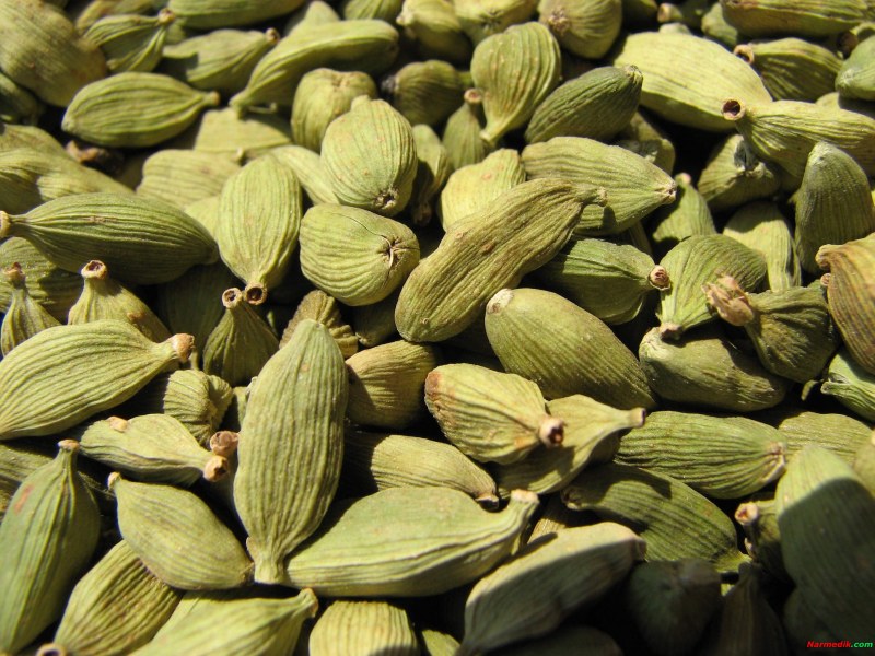Cardamom (Elettaria cardamomum)