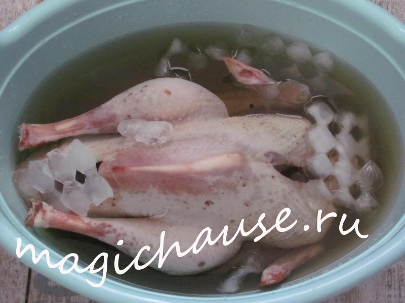 Гусь в рассоле для запекания