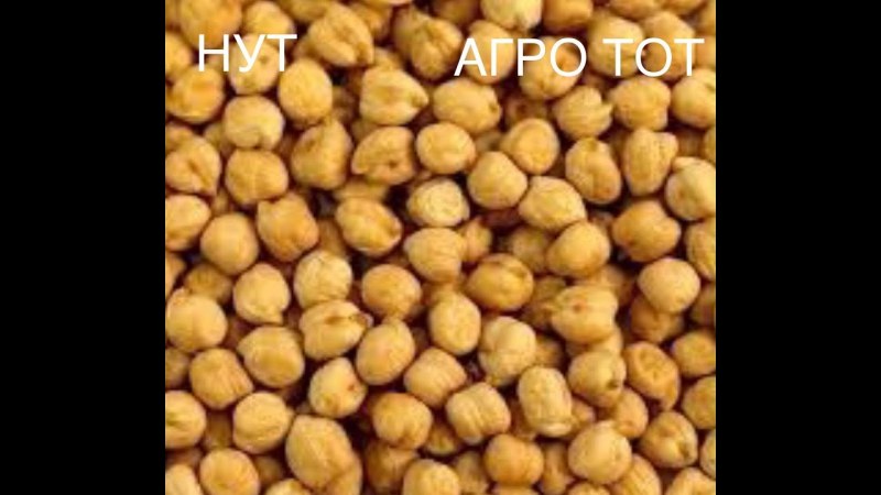 Нут Chickpeas