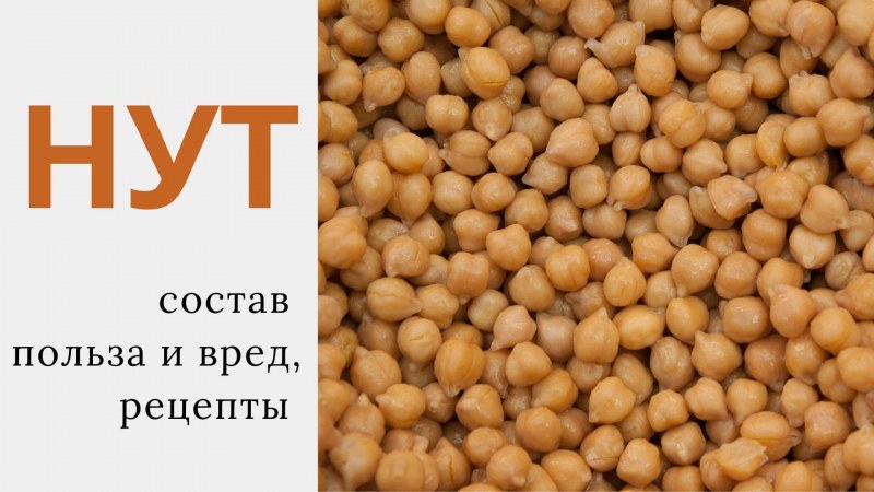 Турецкий горох нут Полеззно
