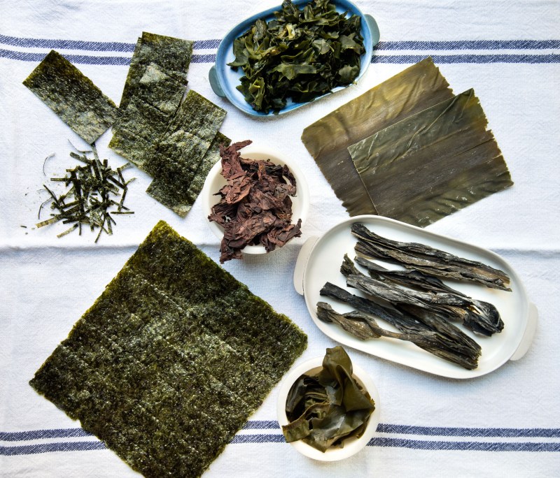 Морская капуста нори