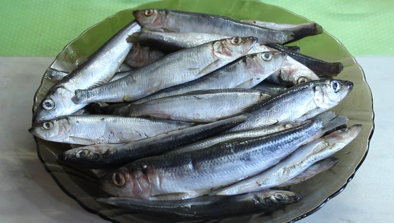 Продукты мелкая рыба 2022