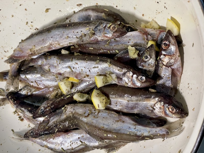 Морская малоротая корюшка