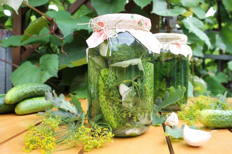 Банки огурцов