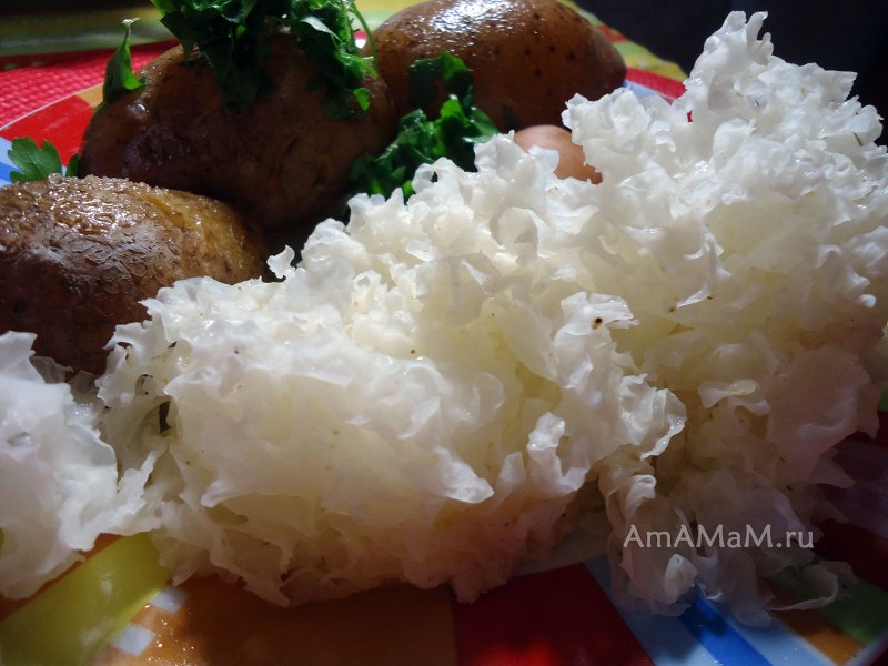 Морские гребешки с рукколой