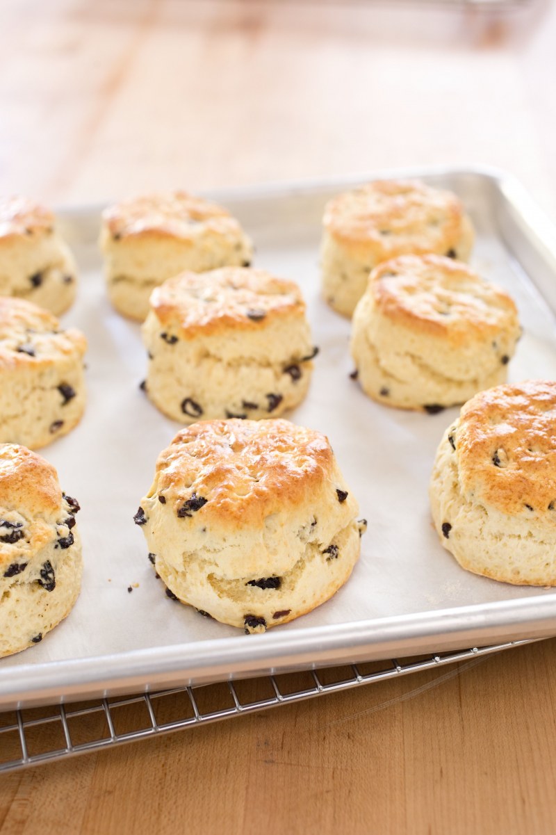 Simple cheesy Recipes