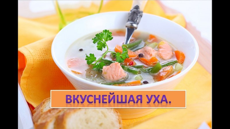 Суп из форели