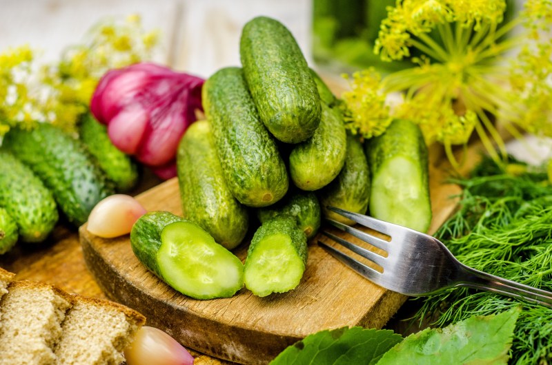 Огурцы вкуснее малосольных
